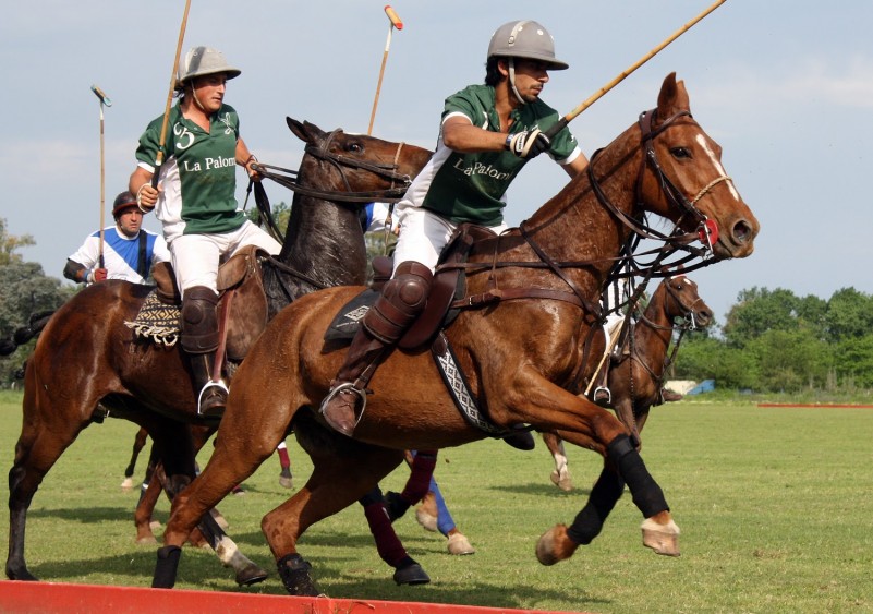 Como se juega ala ruleta electronica 🥇 BonosdeApuesta