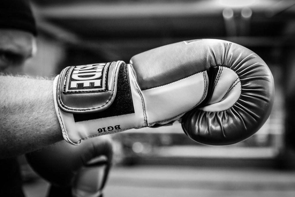 Guantes de boxeo 12 onzas 🥇